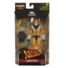 Hasbro X-Men Legends Sabretooth6" Action Figure -Deals Amok Time Store STL226355 4 73656.1644692488